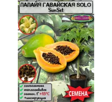  Семена Папайя SunSet (Solo) 5 шт.