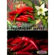  Семена Перец Тайский 'Дракон' 5 шт.