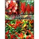  Семена Перец Тайский 'Дракон' 5 шт.