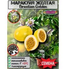  Семена Маракуйя Желтая 'Brazilian Golden 5 шт.