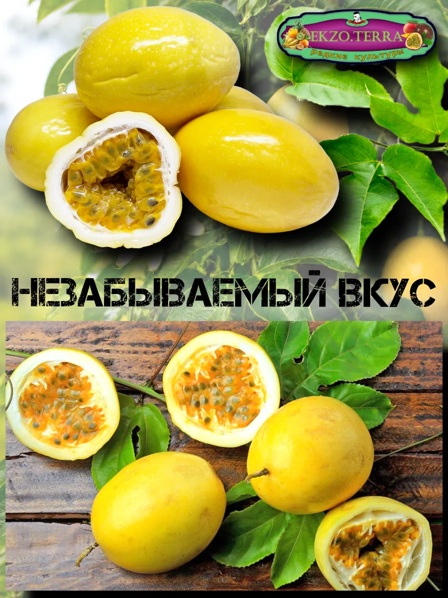  Семена Маракуйя Желтая 'Brazilian Golden 5 шт.