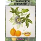  Семена Маракуйя Желтая 'Brazilian Golden 5 шт.