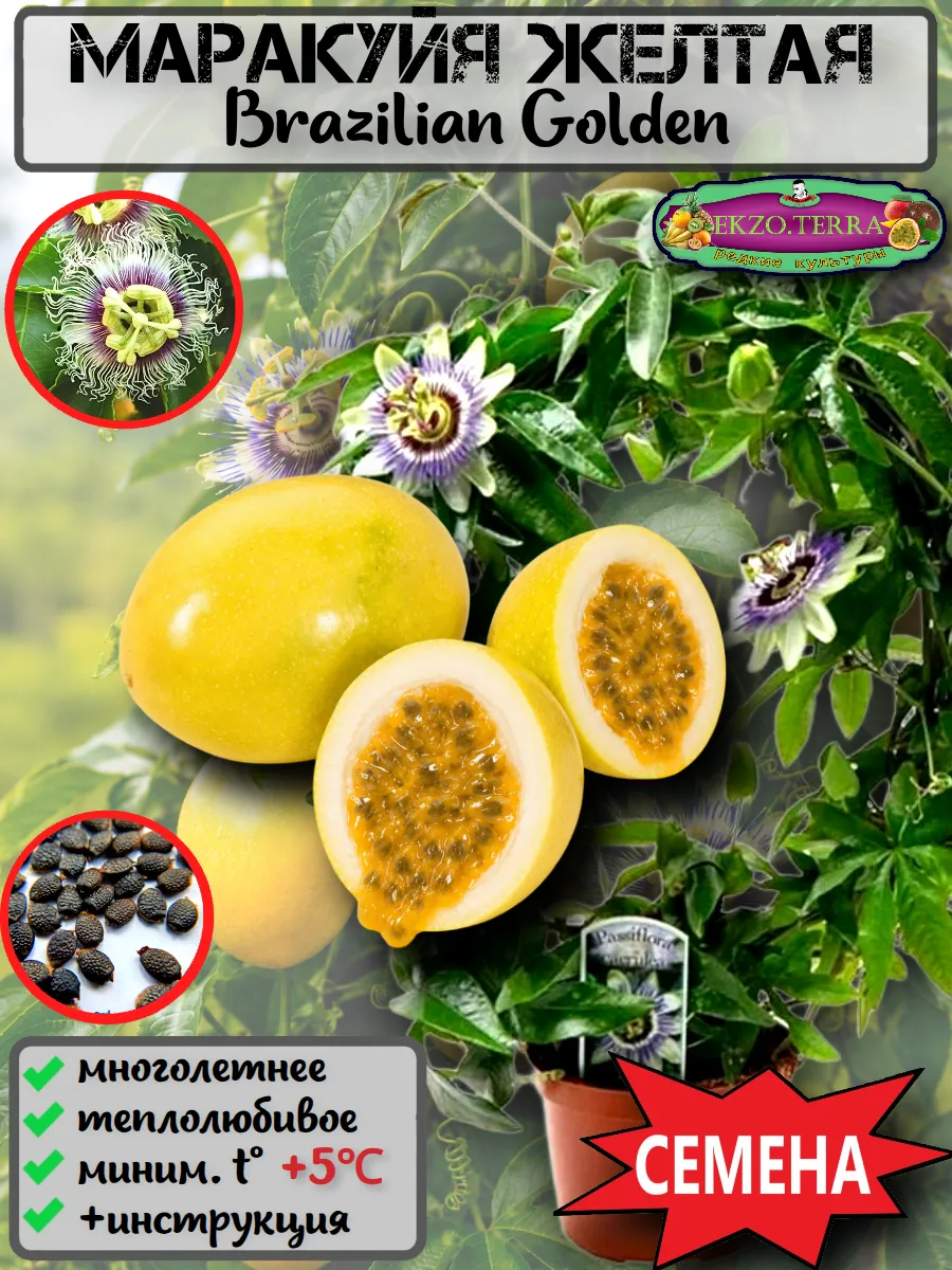  Семена Маракуйя Желтая 'Brazilian Golden 5 шт.