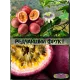  Семена Маракуйя Тайская (Аромантнейшая) 5 шт.