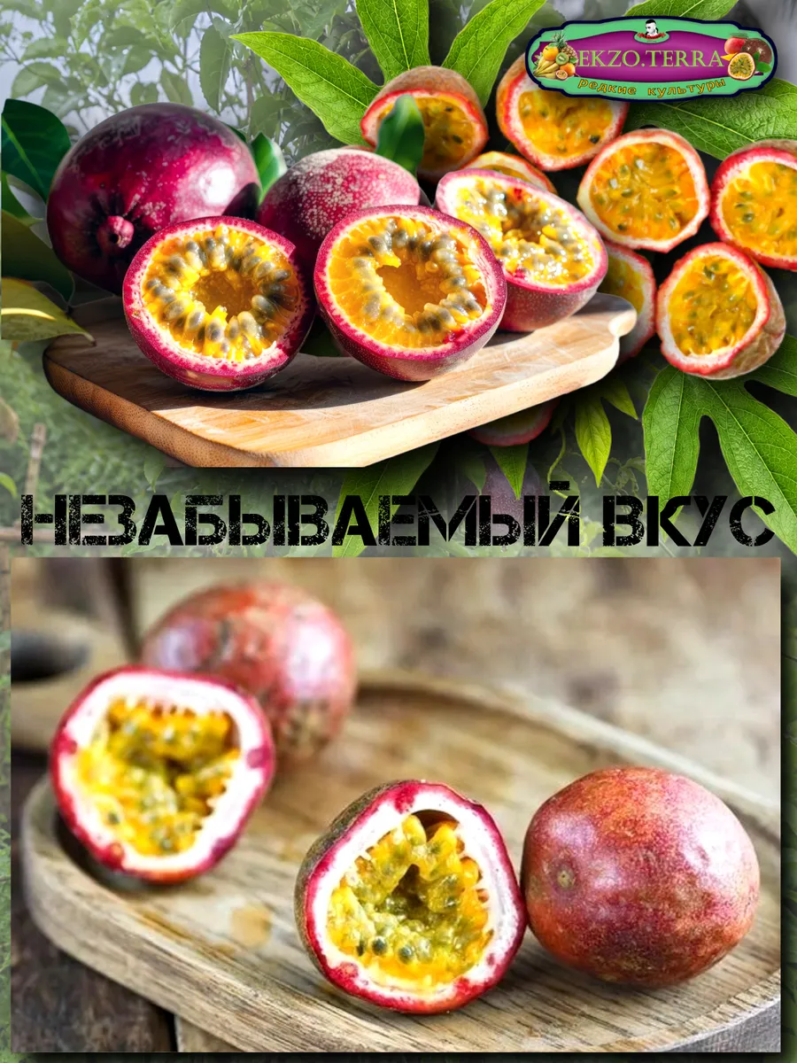  Семена Маракуйя Тайская (Аромантнейшая) 5 шт.