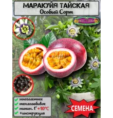  Семена Маракуйя Тайская (Аромантнейшая) 5 шт.