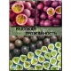  Семена Маракуйя Тайская (Аромантнейшая) 5 шт.