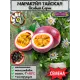 Семена Маракуйя Тайская (Аромантнейшая) 5 шт.
