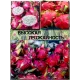  Семена Питахайя с Белой мякотью 10 шт.