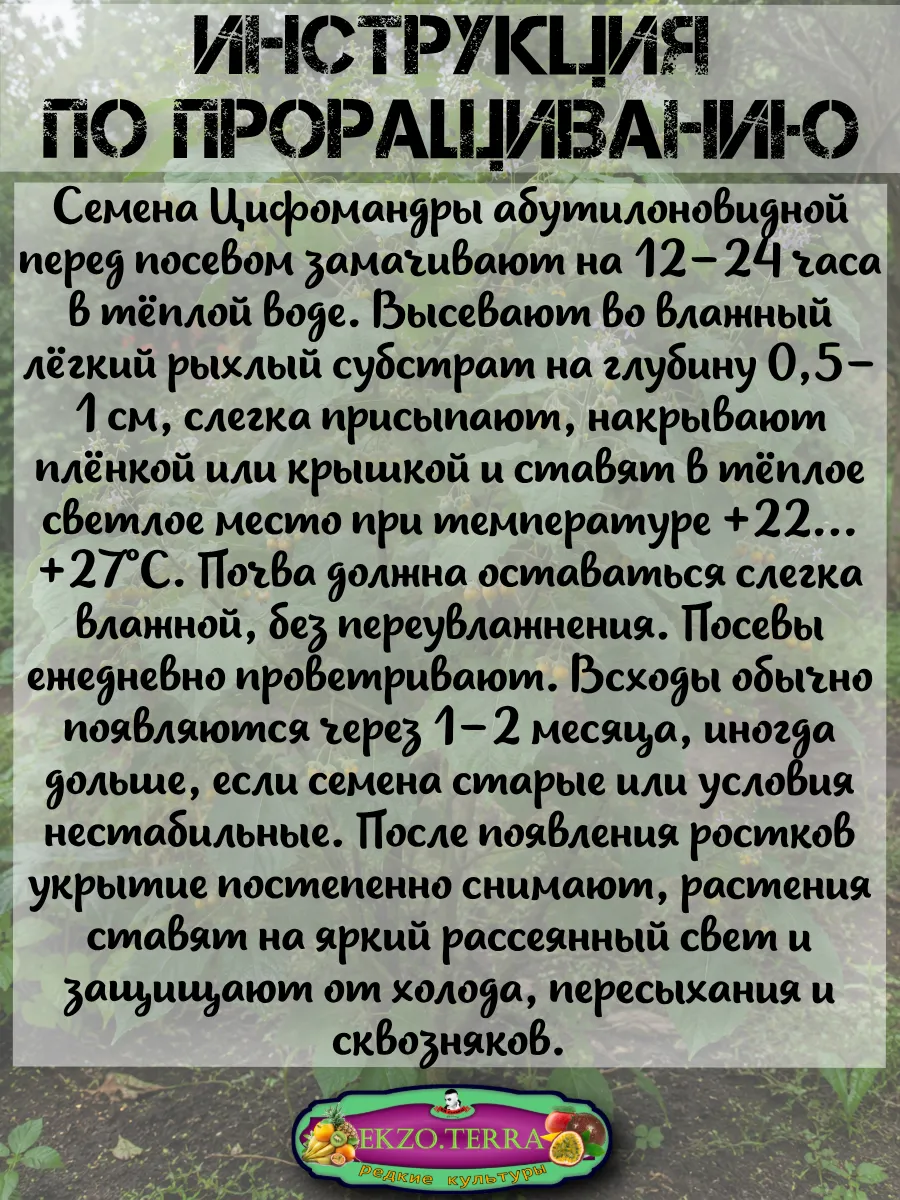  Семена Тамарилло Мини 5 шт.