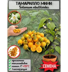  Семена Тамарилло Мини 5 шт.