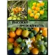  Семена Тамарилло Мини 5 шт.