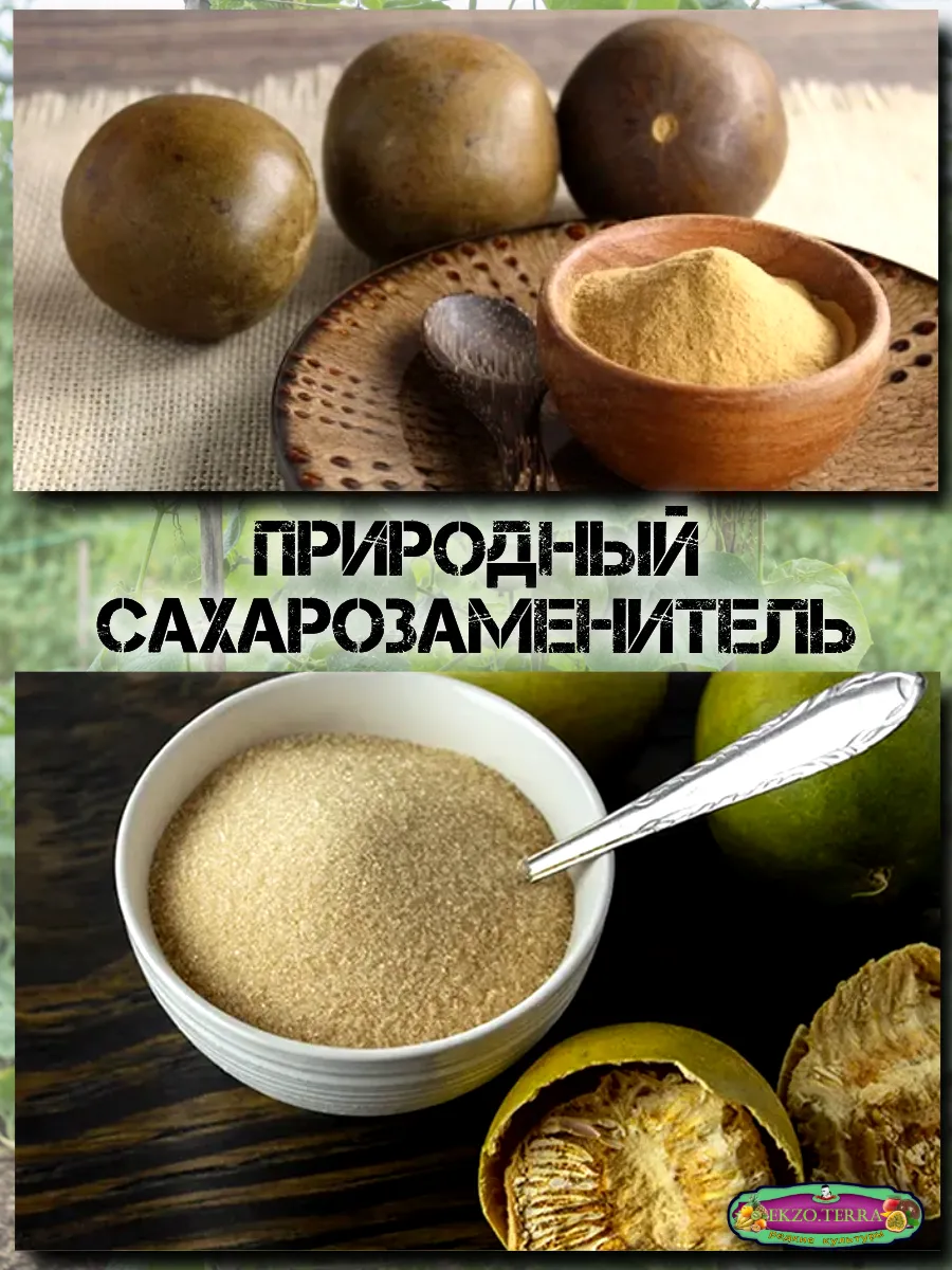  Семена Архат (Фрукт Будды) 3 шт.