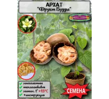  Семена Архат (Фрукт Будды) 3 шт.
