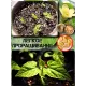  Семена Архат (Фрукт Будды) 3 шт.