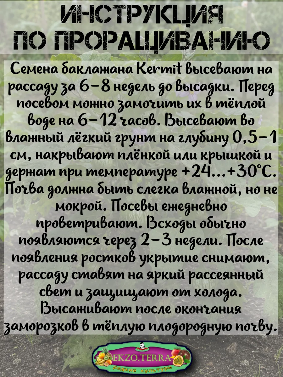  Семена Баклажан 'Kermit' (Тайский) 5 шт.