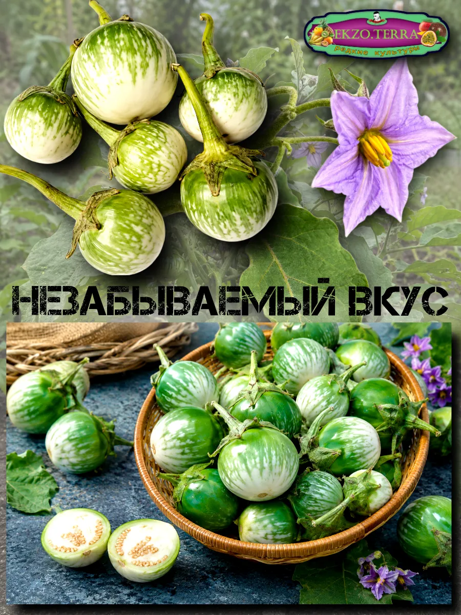 Семена Баклажан 'Kermit' (Тайский) 5 шт.