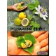  Семена Пассифлора Фоэтида, Маракуйя-мини 5 шт.