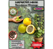  Семена Пассифлора Фоэтида, Маракуйя-мини 5 шт.