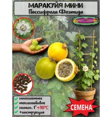 Семена Пассифлора Фоэтида, Маракуйя-мини 5 шт.