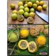  Семена Пассифлора Фоэтида, Маракуйя-мини 5 шт.