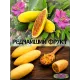  Семена Куруба (Банановая Маракуйя) 5 шт.