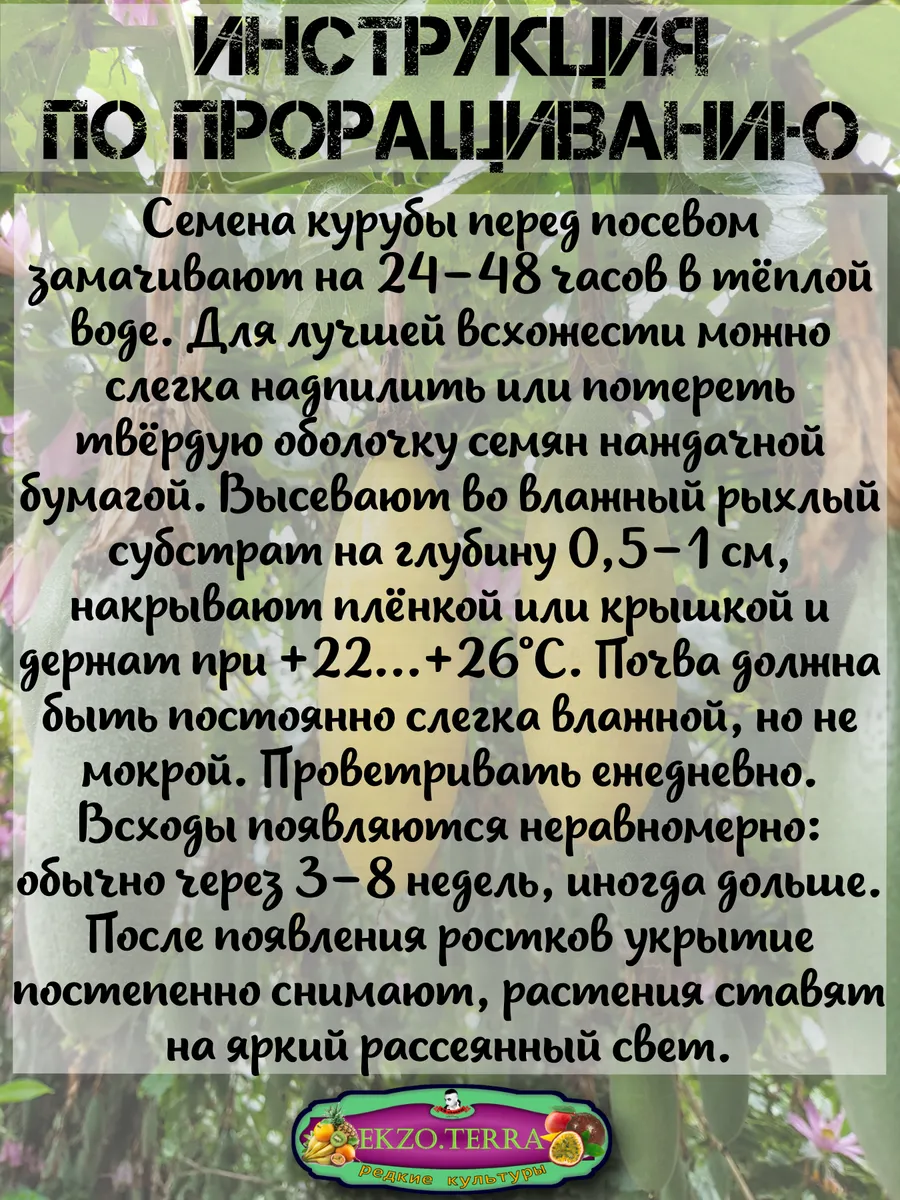  Семена Куруба (Банановая Маракуйя) 5 шт.