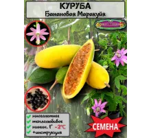  Семена Куруба (Банановая Маракуйя) 5 шт.