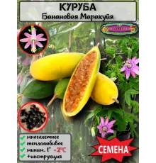  Семена Куруба (Банановая Маракуйя) 5 шт.