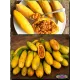  Семена Куруба (Банановая Маракуйя) 5 шт.
