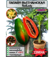  Семена Папайя Red Lady 5 шт.