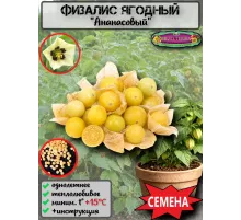  Семена Физалис ягодный (Ананасовый) 10 шт.
