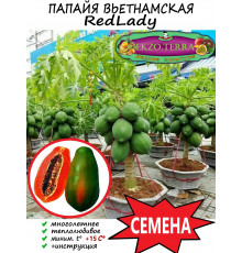  Семена Папайя Red Lady 5 шт.