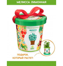  Подарочный набор для выращивания растений 'Мелисса лимонная' 