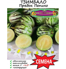  Семена Тзимбало 'Solanum Caripense' 5 шт.