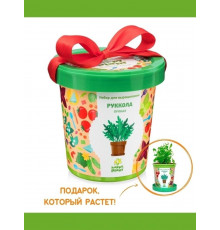  Подарочный набор для выращивания растений 'Руккола пряная' 