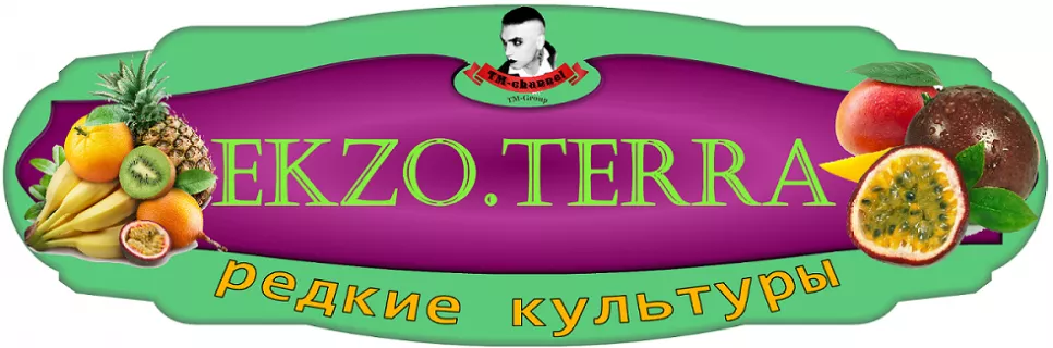 EKZO.TERRA